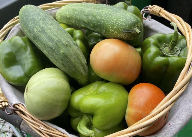 2208 Poe Road, Soddy Daisy, TN 37379