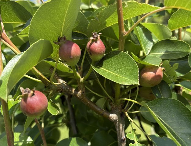 2208 Poe Road, Soddy Daisy, TN 37379