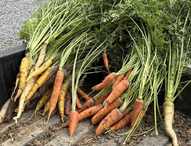 2208 Poe Road, Soddy Daisy, TN 37379