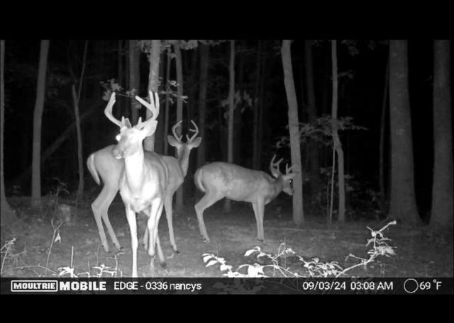 2208 Poe Road, Soddy Daisy, TN 37379