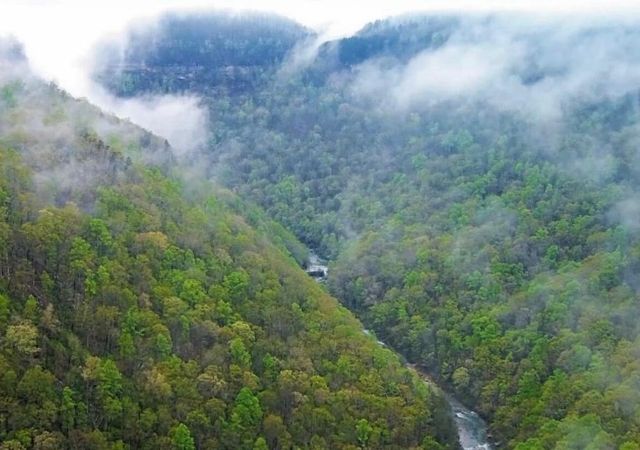 2208 Poe Road, Soddy Daisy, TN 37379