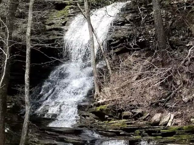 2208 Poe Road, Soddy Daisy, TN 37379