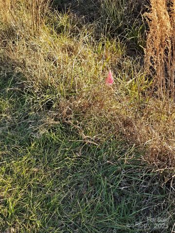 0 Palestine Road, Albemarle, NC 28001