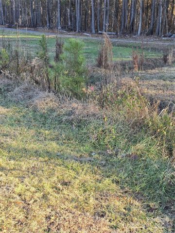 0 Palestine Road, Albemarle, NC 28001