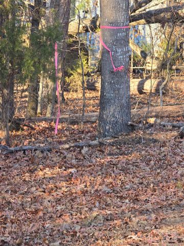 0 Palestine Road, Albemarle, NC 28001