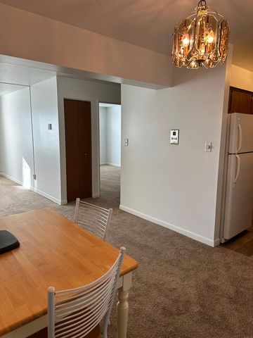 222 Madison Street 208, Joliet, IL 60435