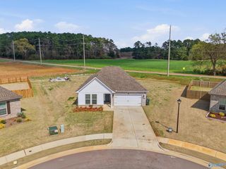 221 Willie Sanders Drive, Madison, AL 35756