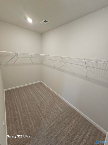 6007 Margie Collins Drive, Owens Cross Roads, AL 35763