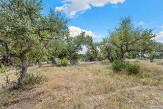 1230 Alsace, New Braunfels, TX 78132