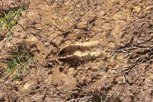 16 Old State Road, Manchester, OH 45144