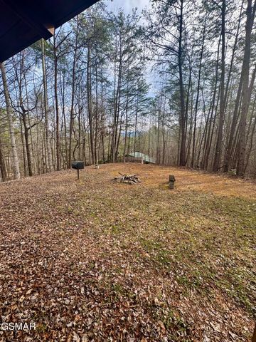 2950 Grassy Branch Loop, Sevierville, TN 37876