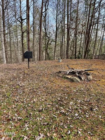 2950 Grassy Branch Loop, Sevierville, TN 37876