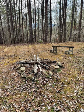 2950 Grassy Branch Loop, Sevierville, TN 37876