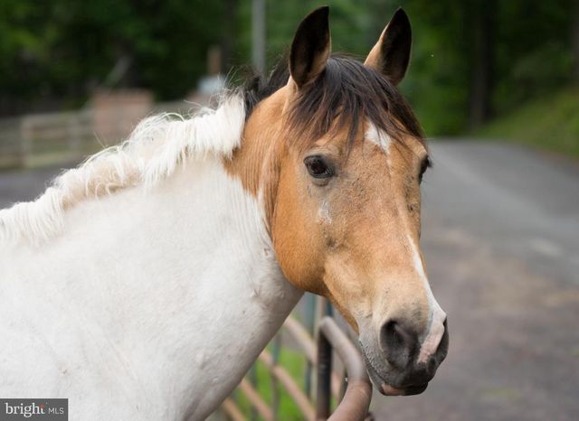 550 HARRISON CIR, Locust Grove, VA 22508