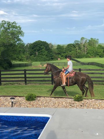 520 Chrisman Oaks Trail, Nicholasville, KY 40356