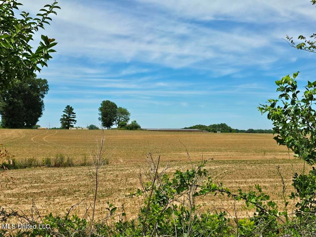 Shands Bottom Road Road, Senatobia, MS 38668 — photo 2
