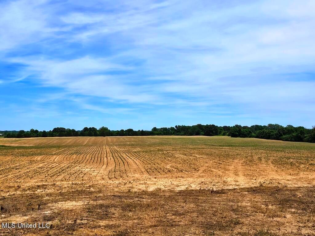 Shands Bottom Road Road, Senatobia, MS 38668 — photo 3