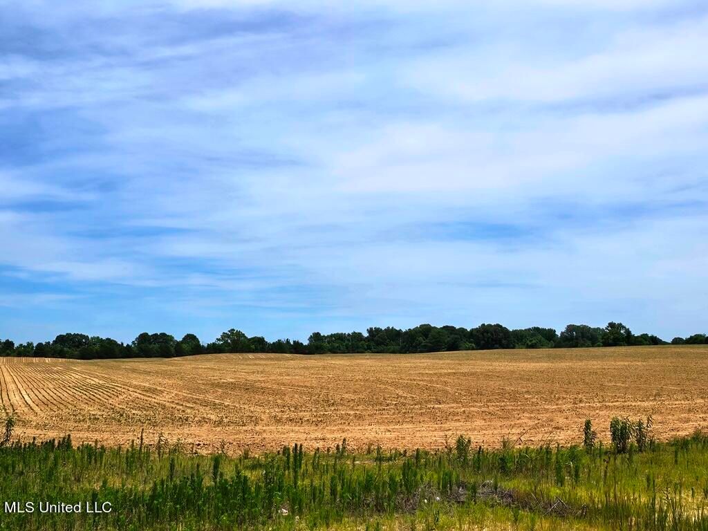 Shands Bottom Road Road, Senatobia, MS 38668 — photo 4