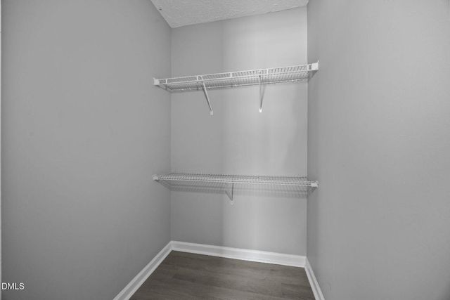 3109 Ebony Court, Raleigh, NC 27610