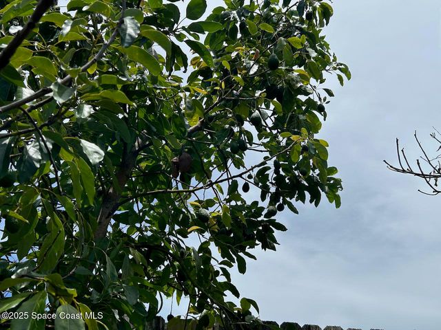 101 S Singleton Avenue, Titusville, FL 32796