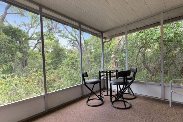 98 CEDAR ELM DRIVE 32, Safety Harbor, FL 34695