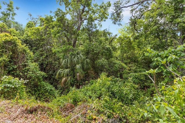 98 CEDAR ELM DRIVE 32, Safety Harbor, FL 34695