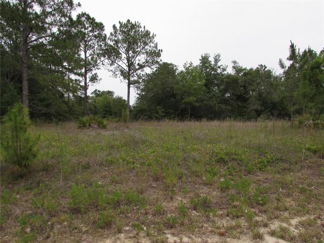 Lot 40 SW SOUTH WIND COURT, Dunnellon, FL 34431