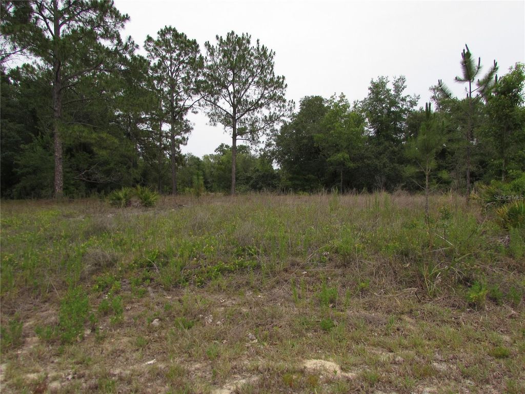 Lot 40 SW SOUTH WIND COURT, Dunnellon, FL 34431