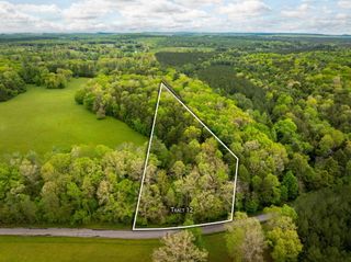 0 Blaine Smith Road Tract 12, Graysville, TN 37338