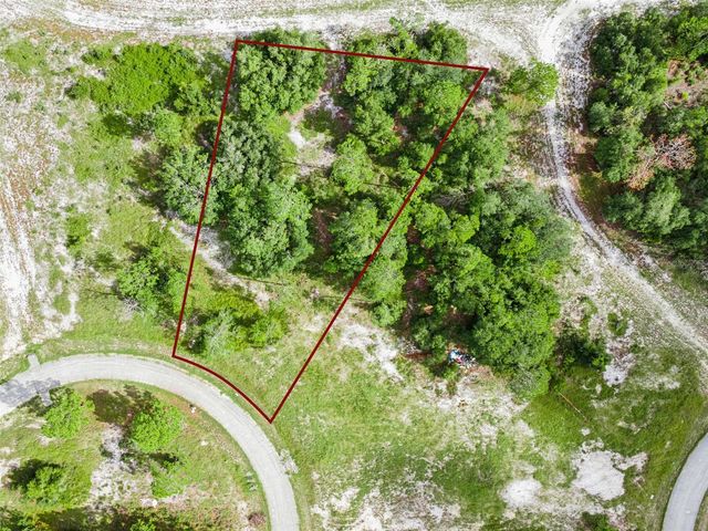 1319 HOMOSASSA COURT, Poinciana, FL 34759