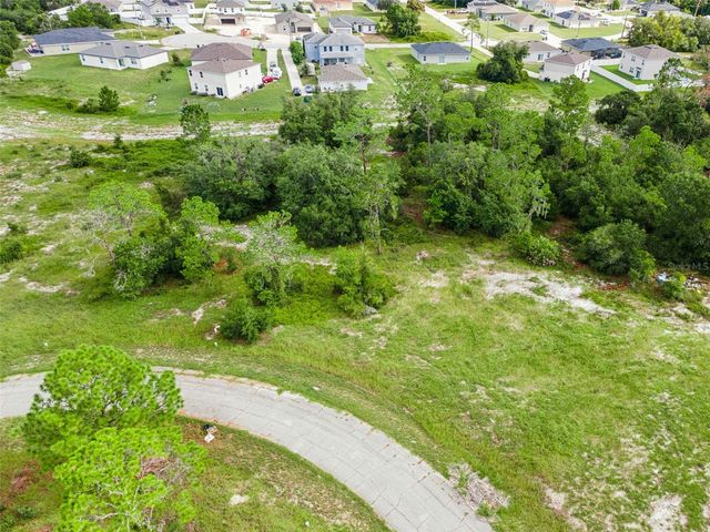 1319 HOMOSASSA COURT, Poinciana, FL 34759