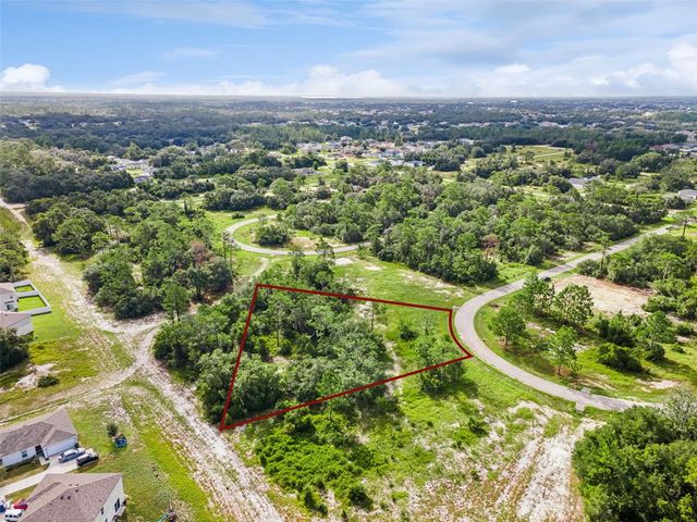 1319 HOMOSASSA COURT, Poinciana, FL 34759