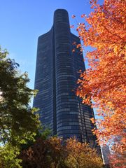 505 N Lake Shore Drive 6601, Chicago, IL 60611