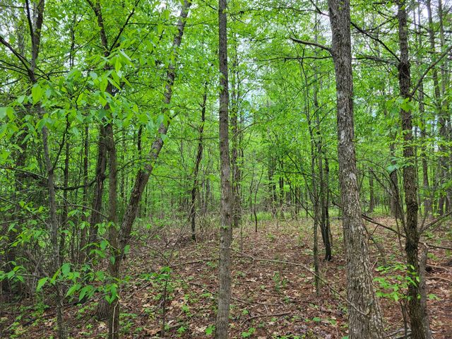 0 Indian Creek RD, Dover, TN 37058