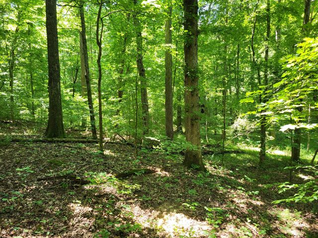 0 Indian Creek RD, Dover, TN 37058