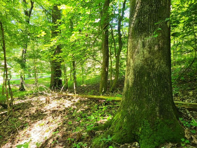 0 Indian Creek RD, Dover, TN 37058