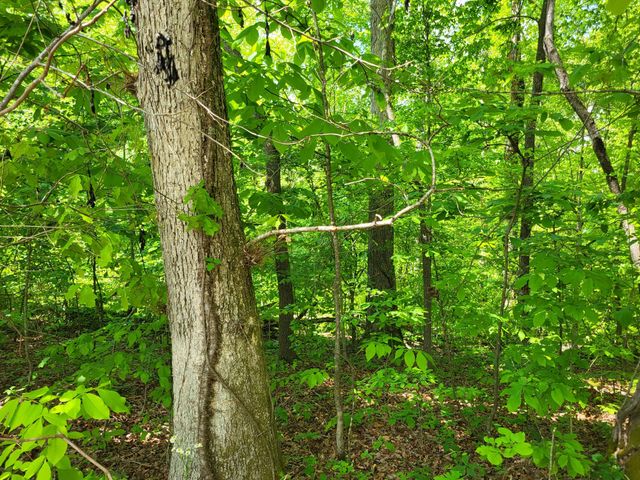 0 Indian Creek RD, Dover, TN 37058