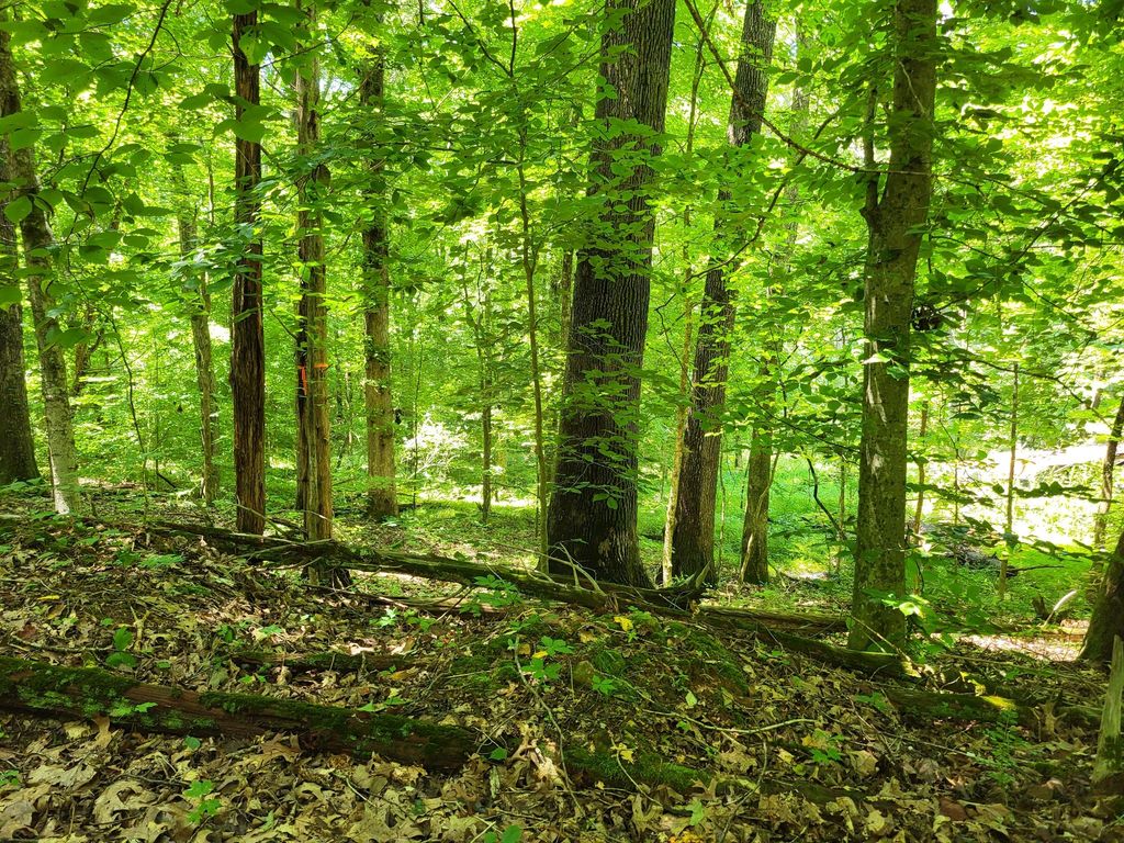 0 Indian Creek RD, Dover, TN 37058