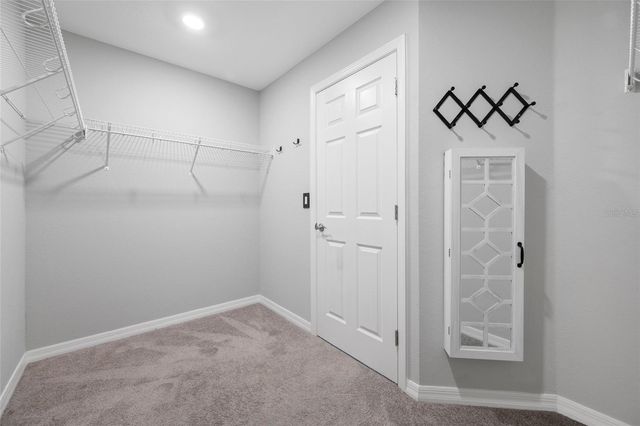 12331 TERRACE BLUFF, Riverview, FL 33579