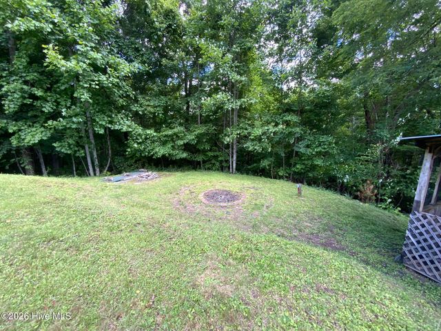 185 Joyces, Topton, NC 28781