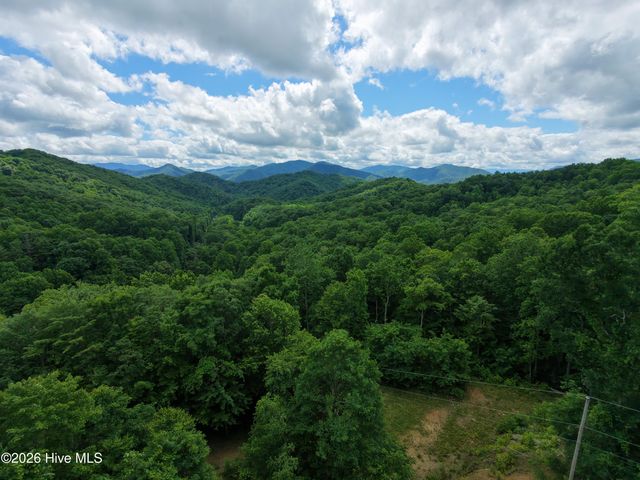 185 Joyces, Topton, NC 28781