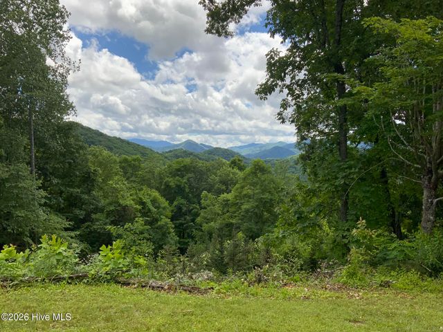 185 Joyces, Topton, NC 28781