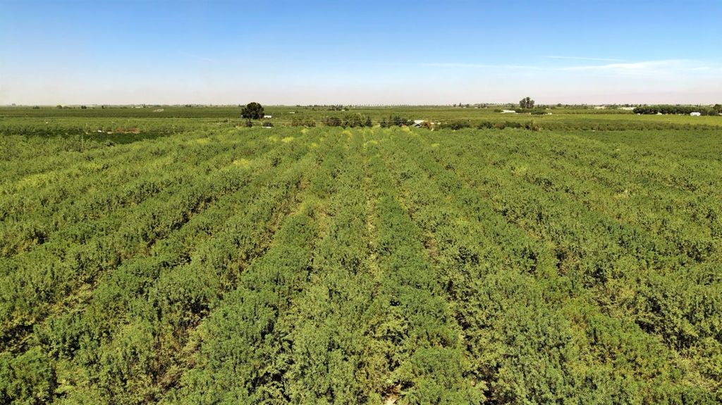 Image 4 of property listing at 16381 W Belmont Avenue, Kerman, CA 93630