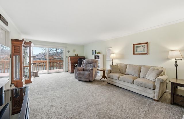 54 Village Woods Drive, Crete, IL 60417