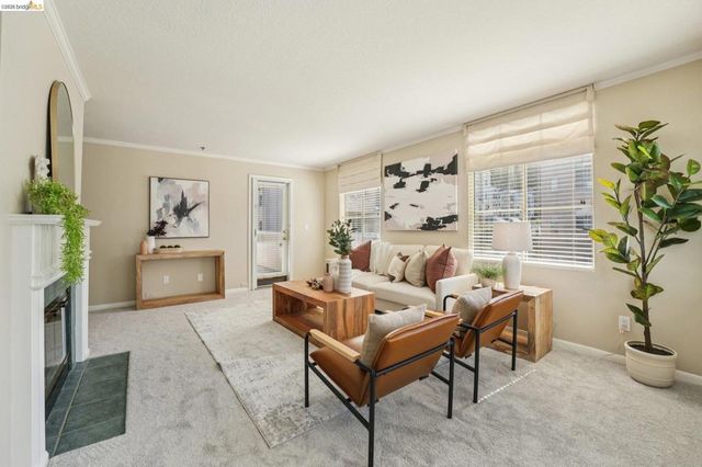 535 Pierce St 3216, Albany, CA 94706