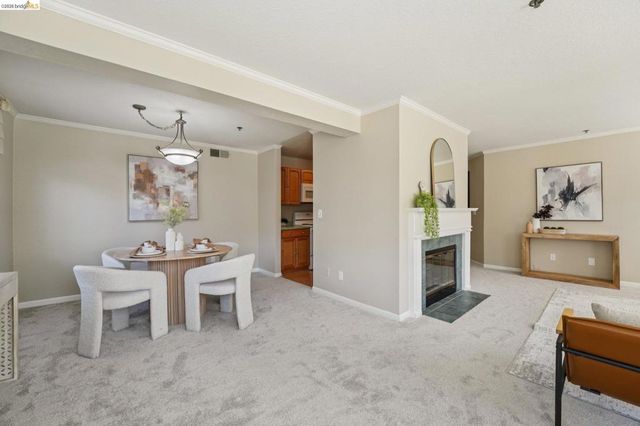 535 Pierce St 3216, Albany, CA 94706