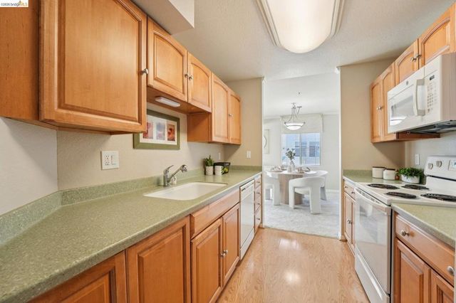 535 Pierce St 3216, Albany, CA 94706