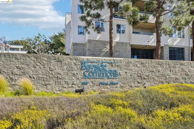 535 Pierce St 3216, Albany, CA 94706