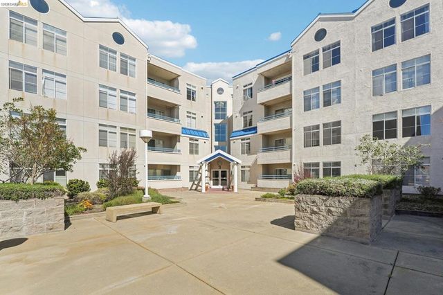 535 Pierce St 3216, Albany, CA 94706