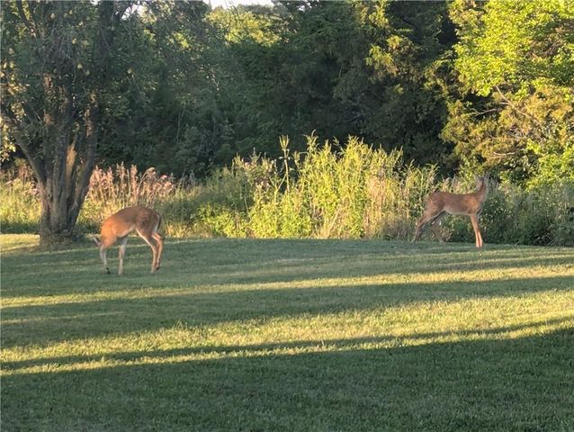 15414 Y Highway, Excelsior Springs, MO 64024